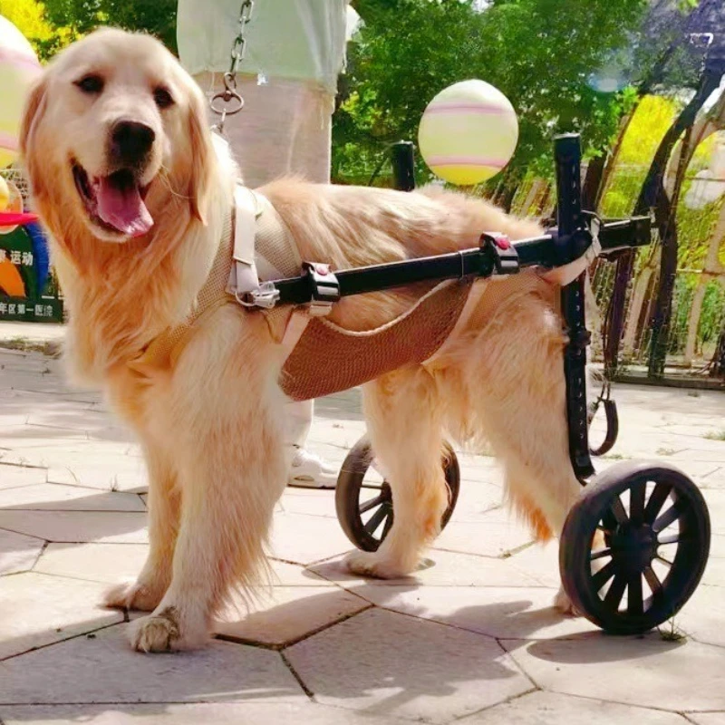 Adjustable Dog Wheelchair for Hind Legs Rehabilitation Pet Mobility Aid Cart with Shock-Absorbing Wheels for Medium Large Dogs