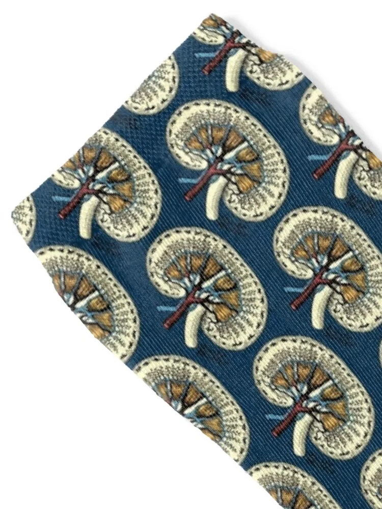 Kidney vintage illustration Socks hiking professional running retro gifts Boy Socks Women's