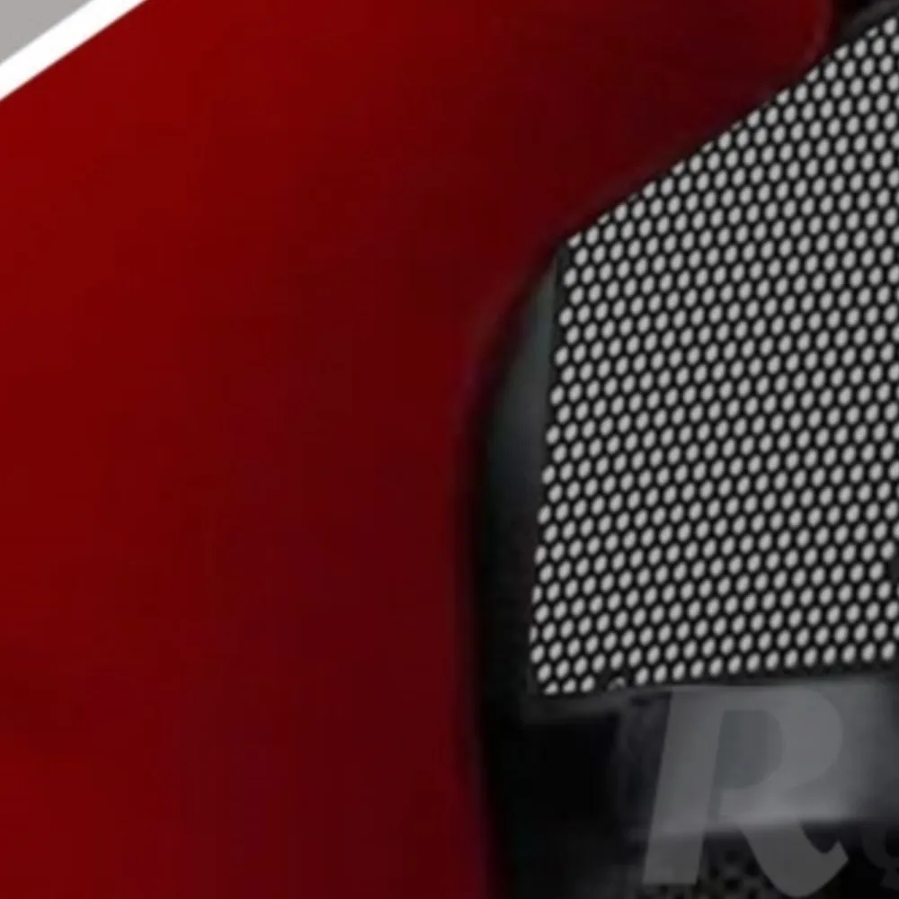 For Ducati PanigaleV2 Motorcycle Radiator Grille Guard Cover Protector PANIGALE V2 / V2S / V2 FB63 / V2 MM93 2025 2026 2027 2028