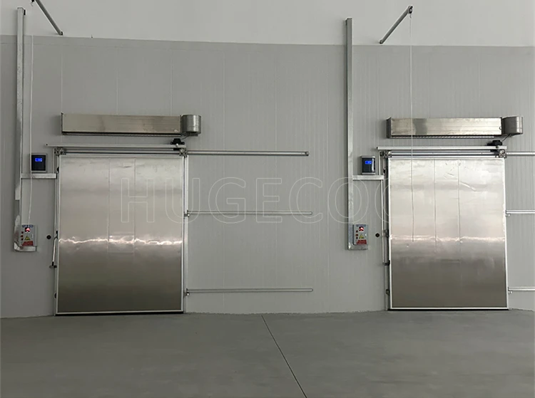 Conservazione personalizzata della stanza fredda ad alta efficienza Camminata nel congelatore Sala di congelamento per pesci, frutta e verdura