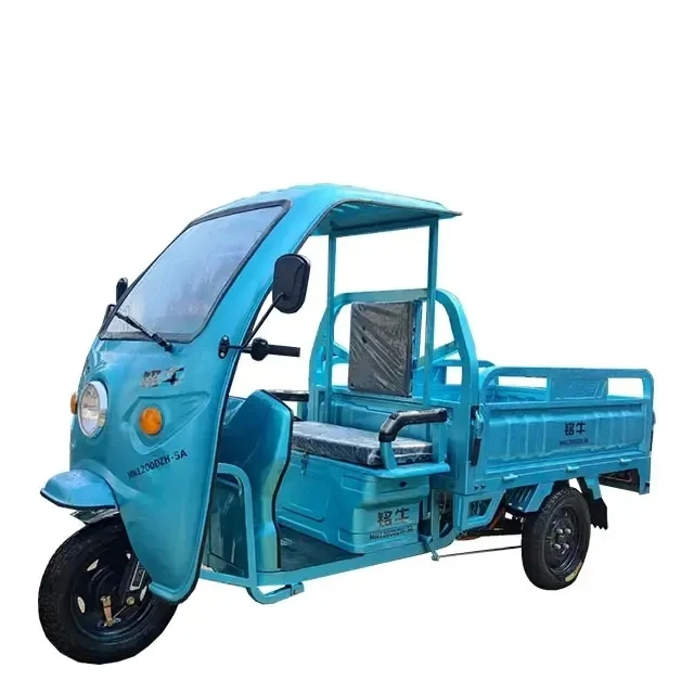 

Conghui Factory Cargo Electric Tricycles Stainless Steel Electric Tricycles 3 Wheel Electric Cargo Bike in Big Stock
