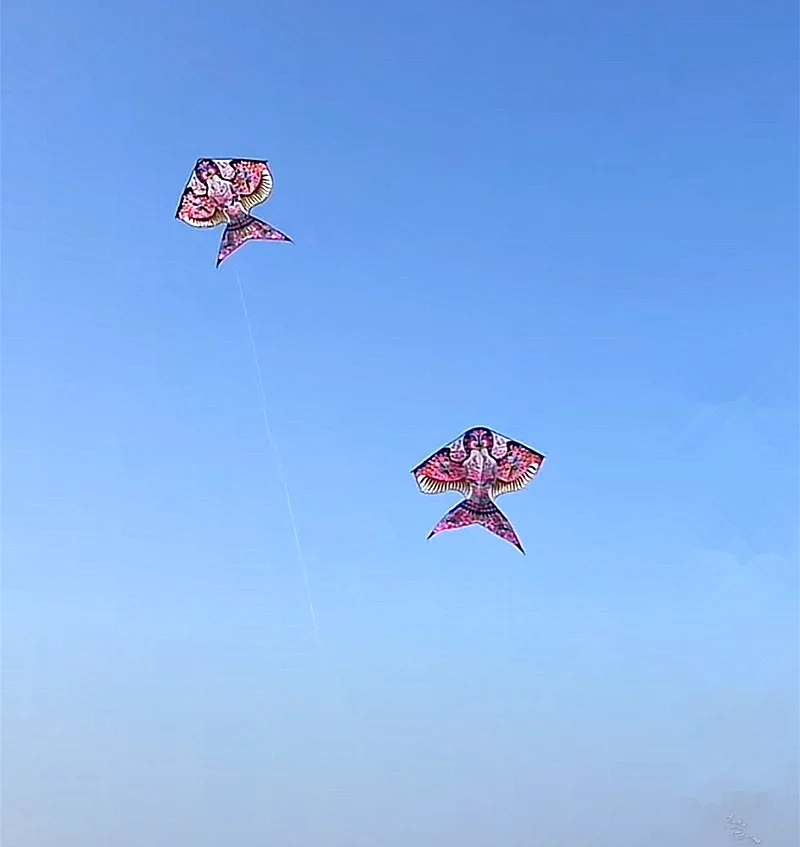 Envío Gratis golondrina cometa niños juegos al aire libre peonzas con cuerda cometas profesionales gaori kyen cerf volant enfants hoka