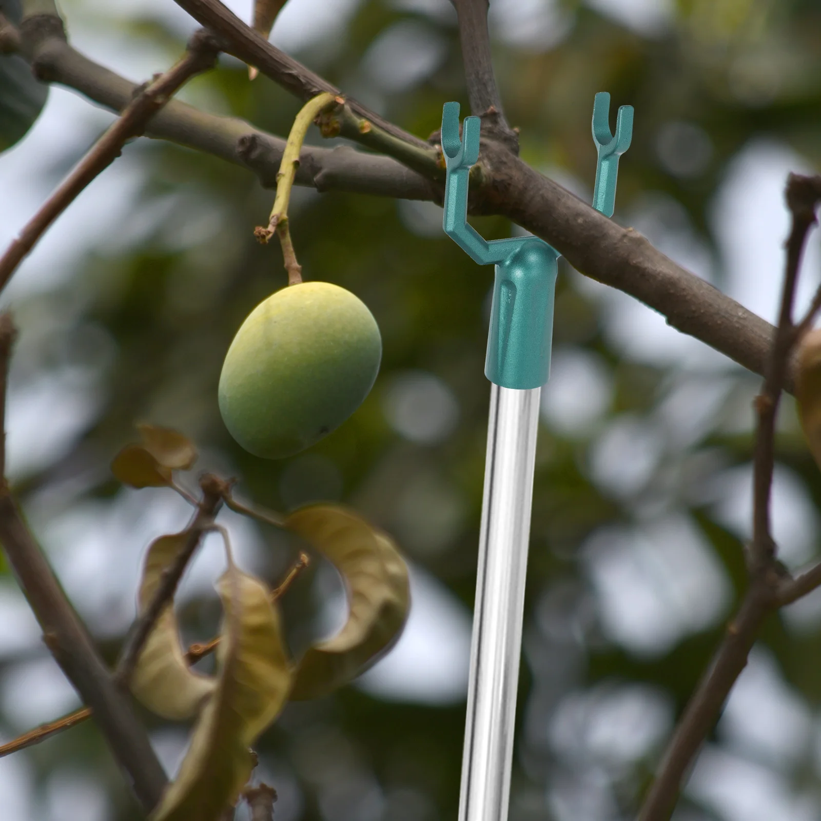 4 PCS 분기 지원 키트 헤비 듀티 트리 스테이크 과일 금속 포크 알루미늄 합금 스프레더