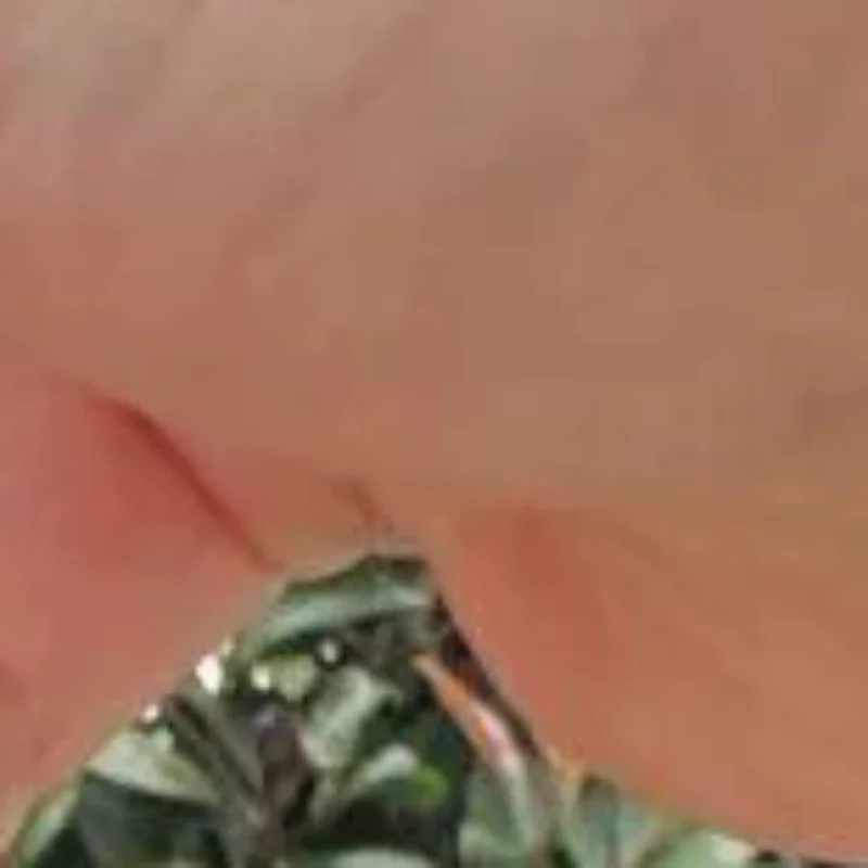 Cute Maple Leaf Plush Toy Keychain Cartoon Maple Leaf Soft Stuffed Doll Pendant Car Key Ring Backpack Bag Decor Kid Gift #1