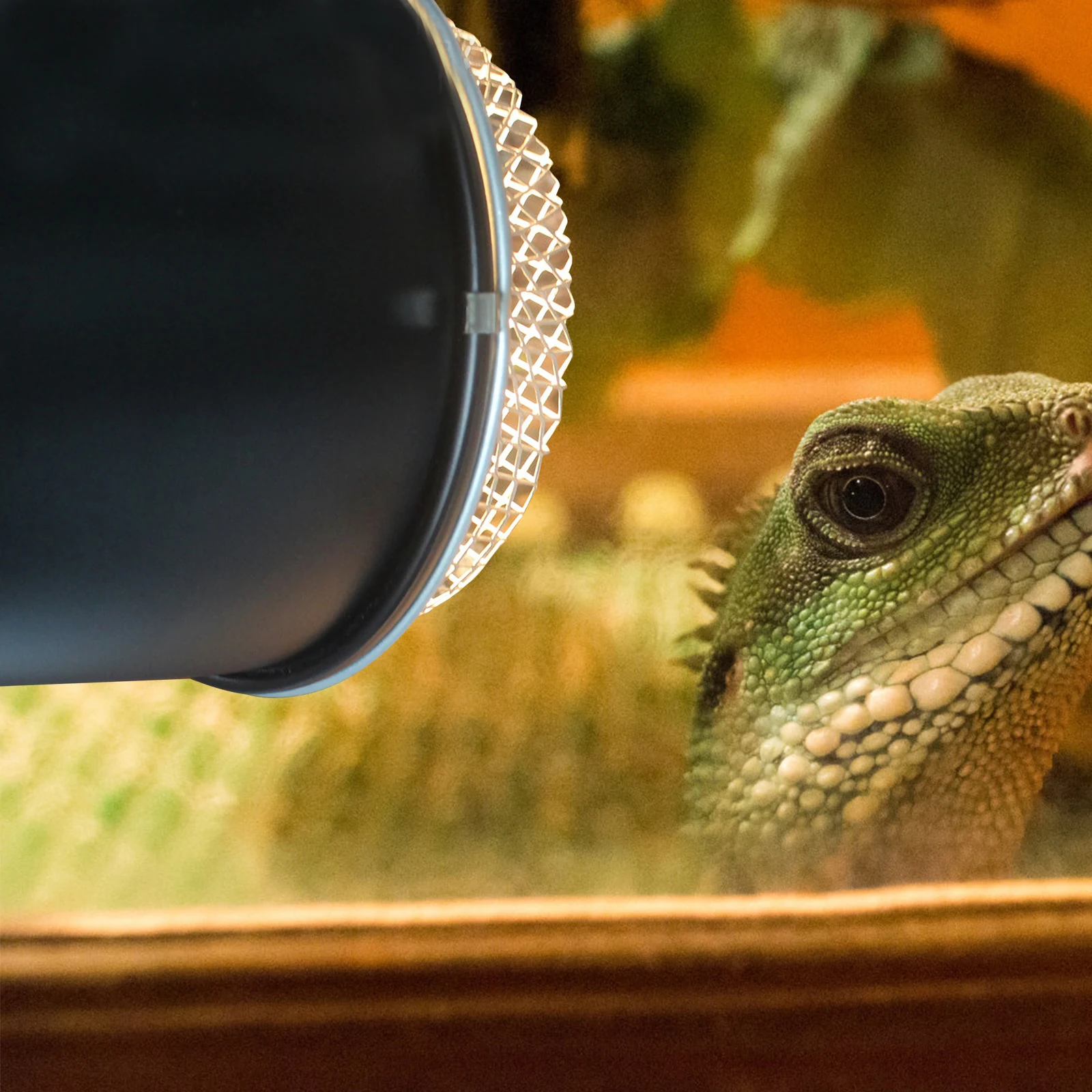 Рисунок 2 - Абажур для рептилий 5