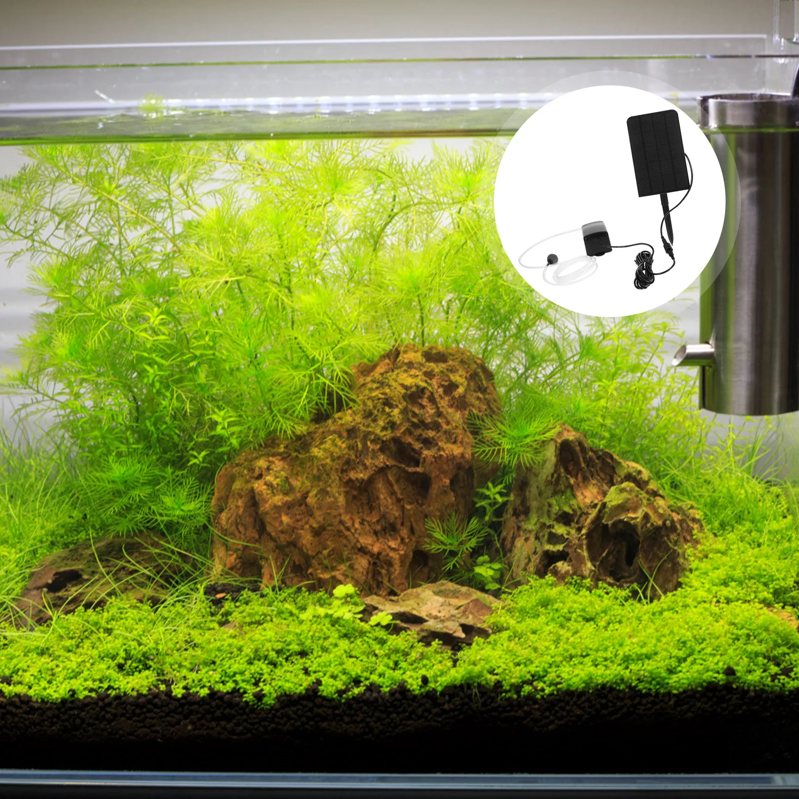 

Solar Air Pump Aquarium Oxygenator Outdoor Fish Tank Pond Aerator High Efficiency Solar Air Pump 5V 1.6W Quiet