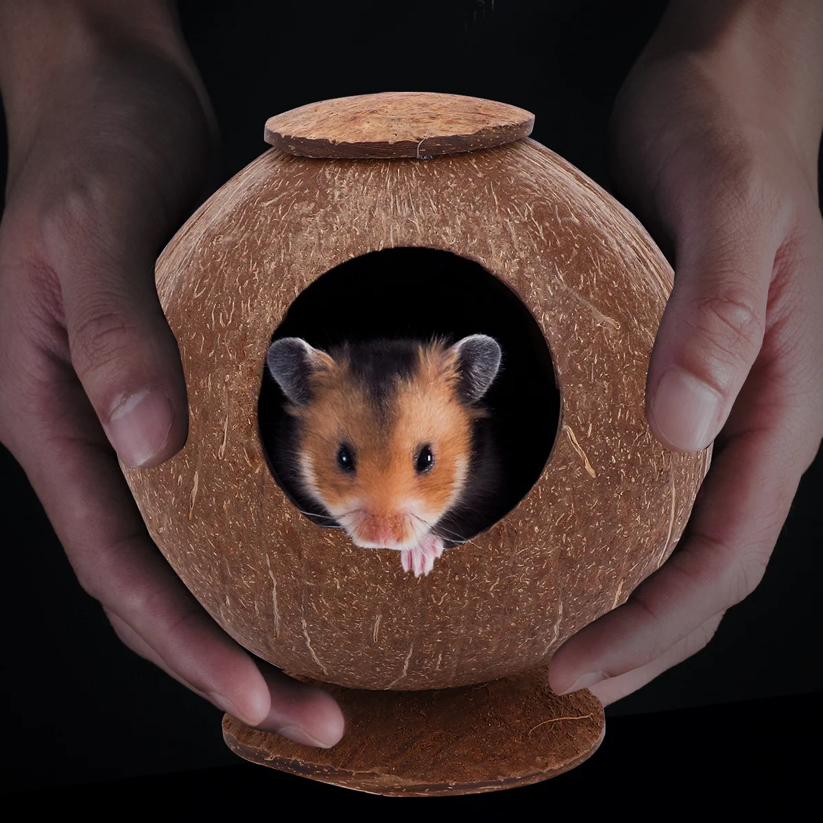 

Coconut Shell Bird Nest Natural Pet Sleeping Bed For Birds Hamsters Squirrels Durable Desktop Animal Nest Craft