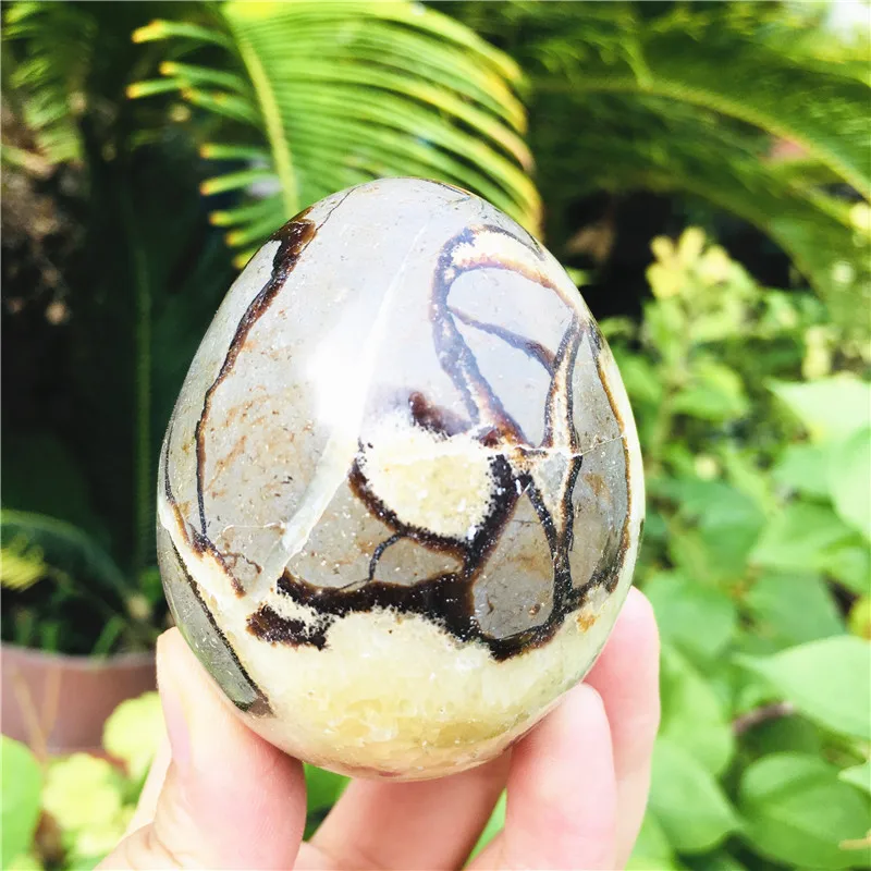 180-200g natural madagas mineral eggs, turtle back stone eggs home decoration+base