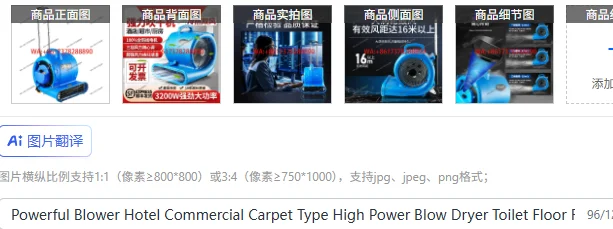 

Powerful Blower Hotel Commercial Carpet Type High Power Blow Dryer Toilet Floor Floor Hair Dryer