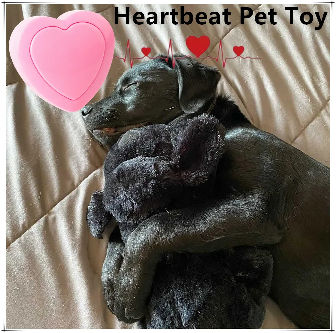 Soothing Pet Dog Simulated Heartbeat Box  Puppy Behavioral Training Aid Heartbeat Simulator For Dogs Cats Separation Anxiety Toy