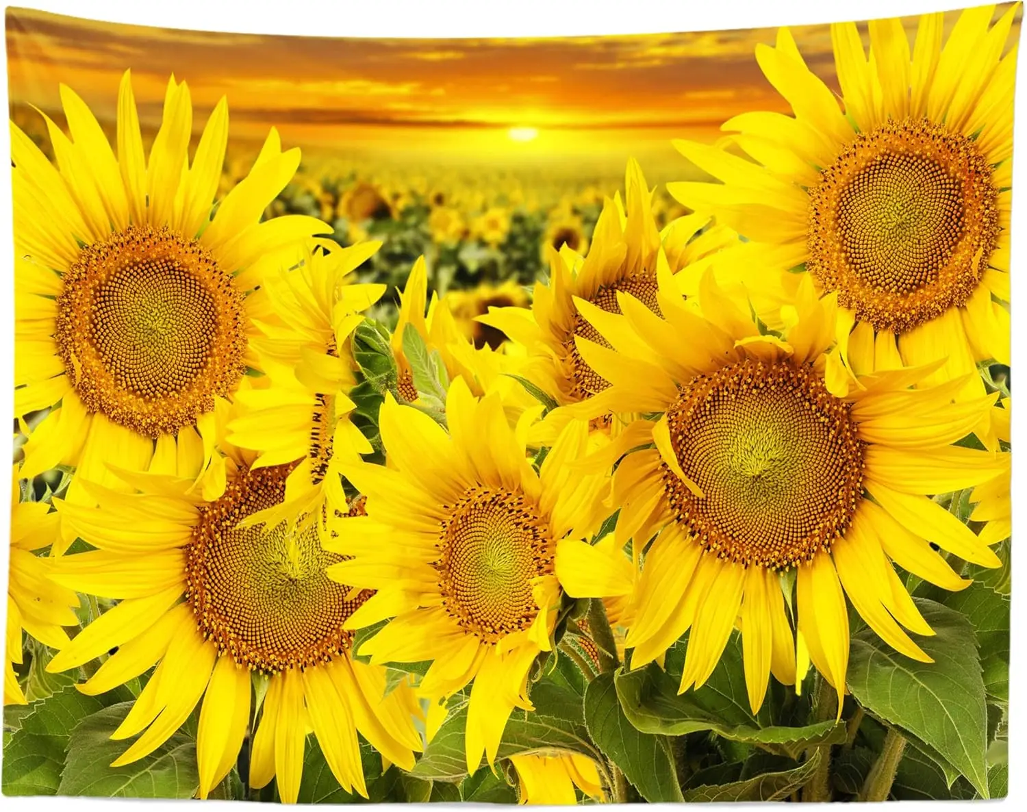Golden Sunflower Garden at Sunset Wall Mural 2D HD Print Farm Scene Nature Landscape Decor Summer Theme Home Bedroom Tapestry