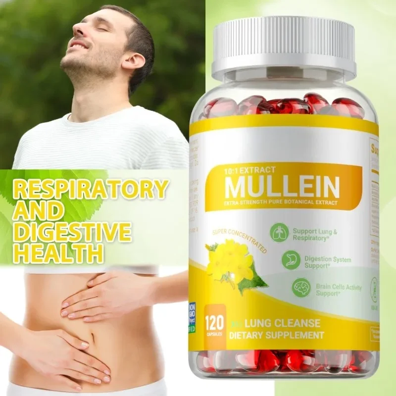 Mullein Leaf Extract - Supports Nasal Clearance and Respiratory Function To Promote Healthy Breathing
