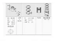 

318801 for PISTON segment SAXO x XSARA ZX P106 P206 P206 TU5JP (1,6 8V)/(MM)