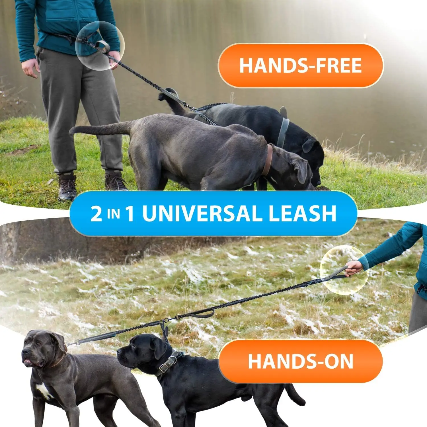 Hands Free Double Dog Leash  for Medium and Large Dogs Dog Leash for 2 Dogs with Padded Handles Reflective Stitches No Pull