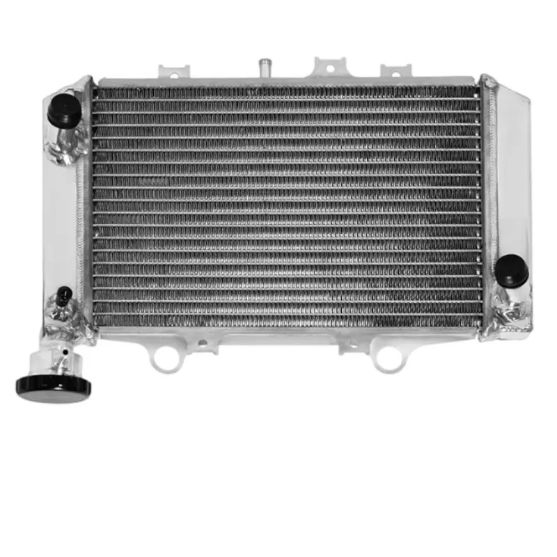 Motorcycle Engine Cooling Parts Water Tank Assembly Radiator Cooler Water Cooling Radiator G310GS G310R