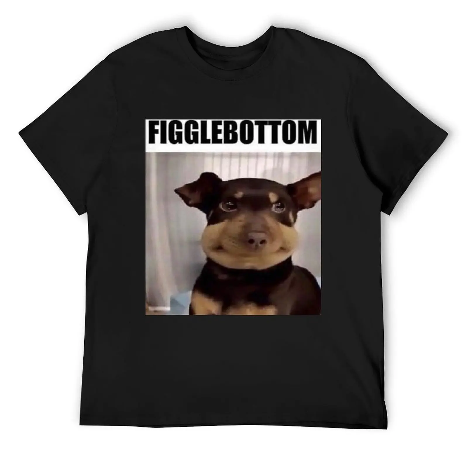 Figglebottom the Dog Meme Format T-Shirt oversized vintage graphic tee mens designer clothes