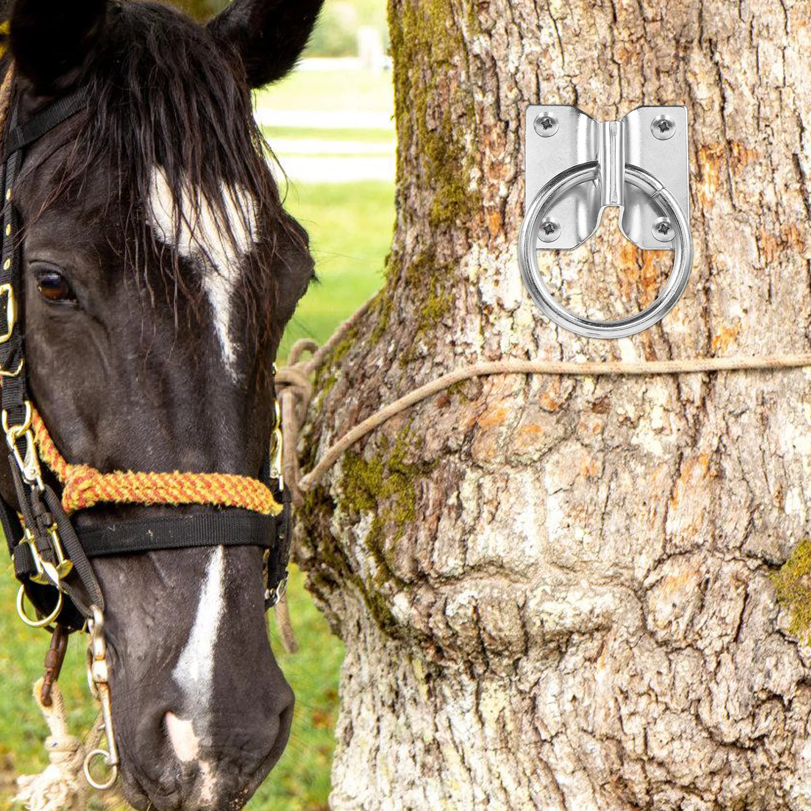 

4 Pcs Horse Tie Ring Convenient Sheep Eye Equestrian Equipment Iron Rings