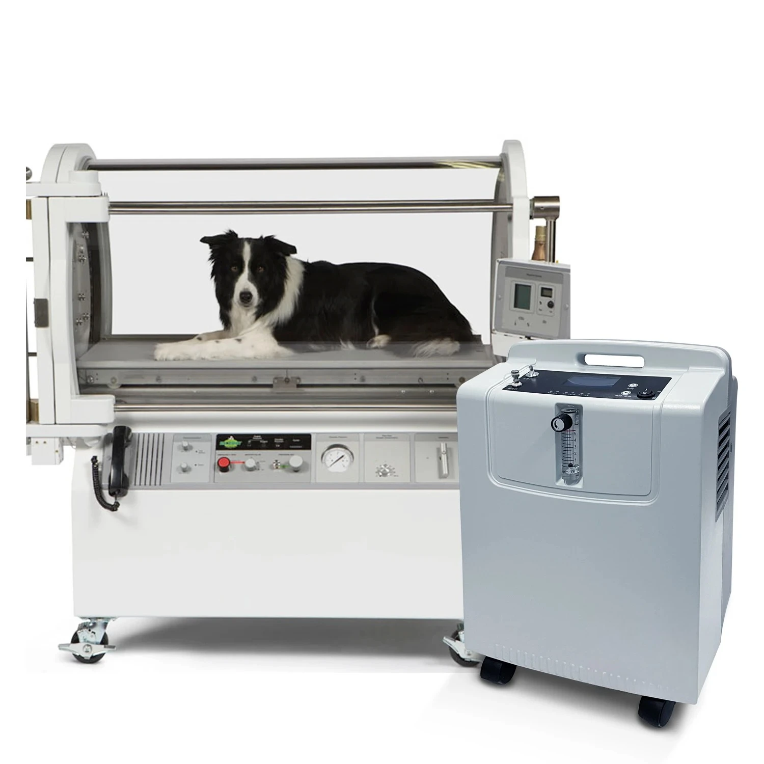 5L Concentrator for Pet  Chamber Animal Therapy Cages Canine O2 Tent for Pet
