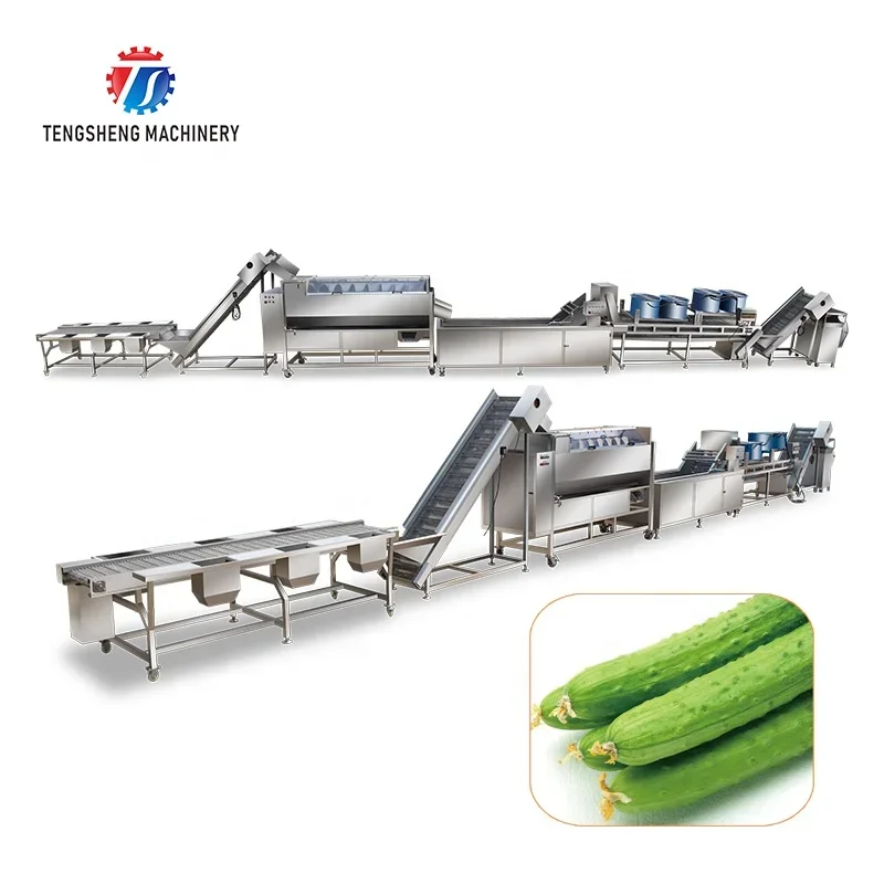 Industrial Vegetable and Fruit Potato Selection of Hair Roller Bubble Cleaning Drying Cutting Machine Production Line