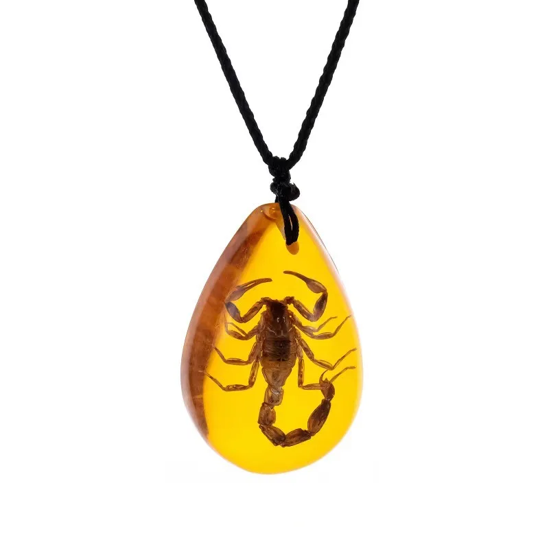 

Giant amber pendant necklace, containing a fossilized resin scorpion, a unique gift for him, a special gift for your boyfriend.