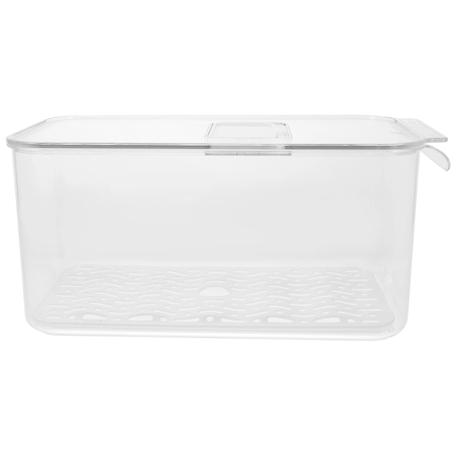 

Transparent PET Food Storage Containers Large Capacity Fridge ganizers W32002 Vegetable Fruit Refrigerator Boxes Keep Fresh