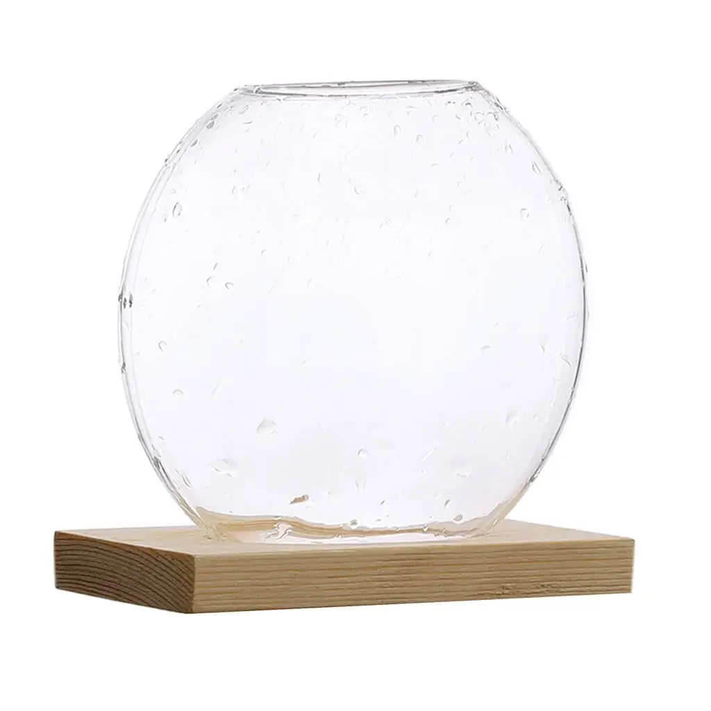 Terrarium Planter Glass Mini Hydroponic Bulb Vase with Stand for Office Desk Plant Vases Decoration