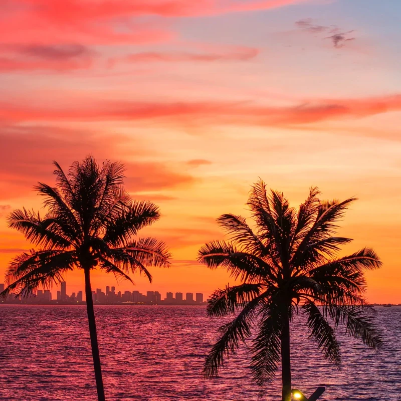 

​JX RC Servo PDIHV5535MG 35KG Digital CoreBrushed Metal Gear Digital Servo for 1/8 1/10 RC Car