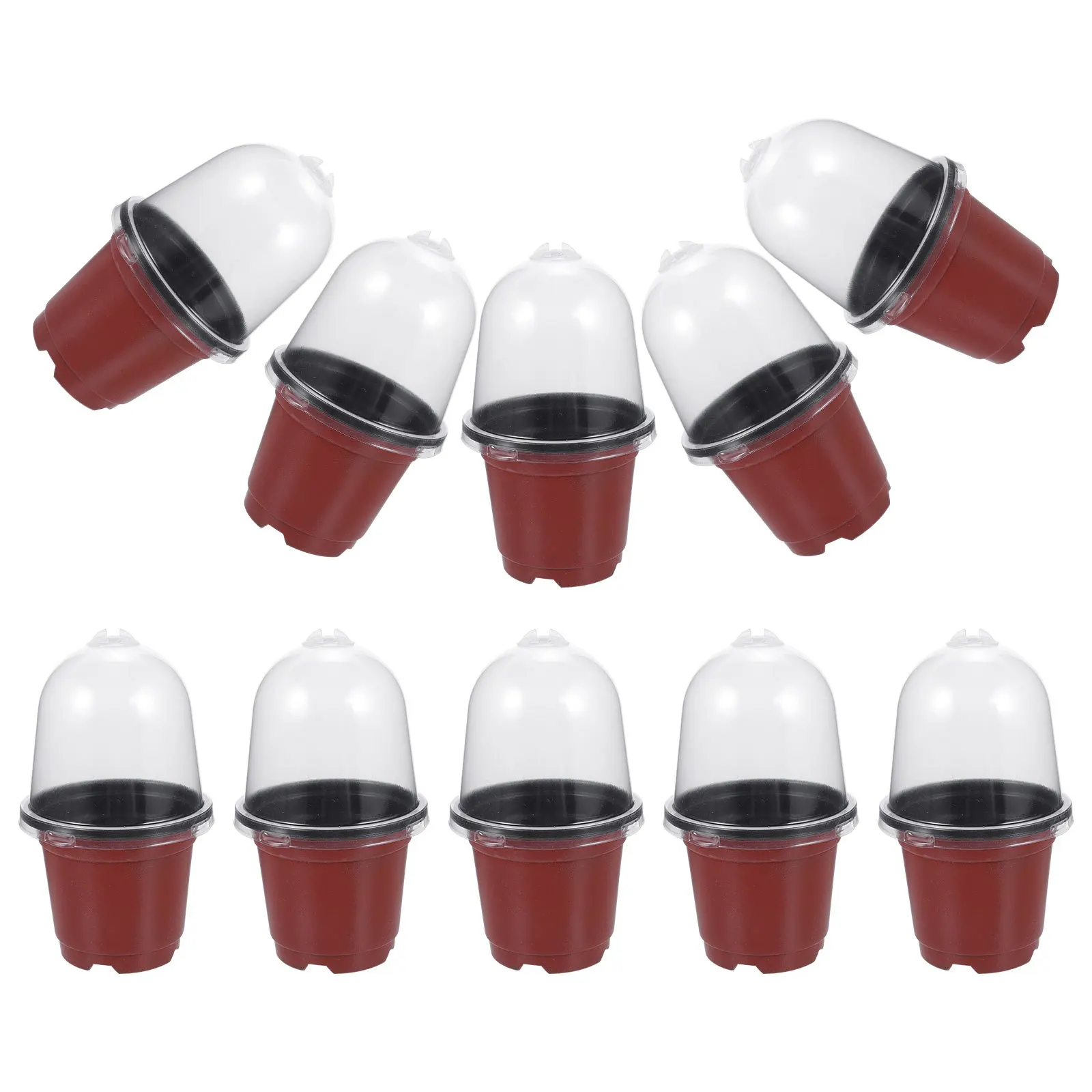 10 مجموعات أواني الحضانة مع قبة الرطوبة حاويات زراعة بلاستيكية البذور بدء الكؤوس حديقة زراعة الزهور وعاء عصاري #2