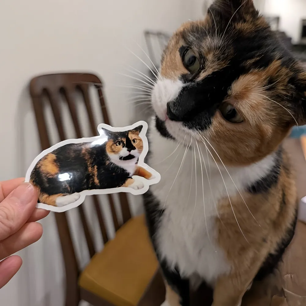

Custom Pet Sticker, Die Cut Vinyl Waterproof, Personalized Gift, Custom Dog Sticker, Custom Cat Sticker, Water Bottle Sticker, P