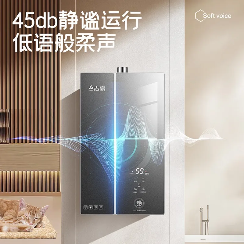 CHIGO 12L Gas Water Heater with Constant Temperature Water Heater, ECO Energy-Saving Inverter Fan, Low Water Pressure Start-up