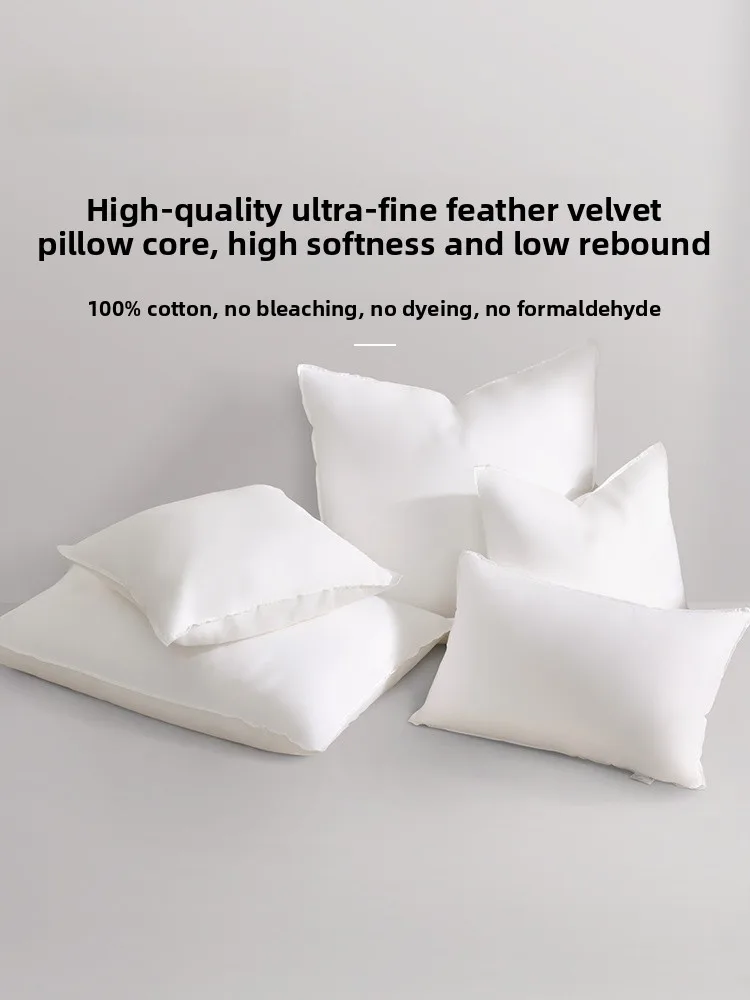 Home Pillow Core Si…