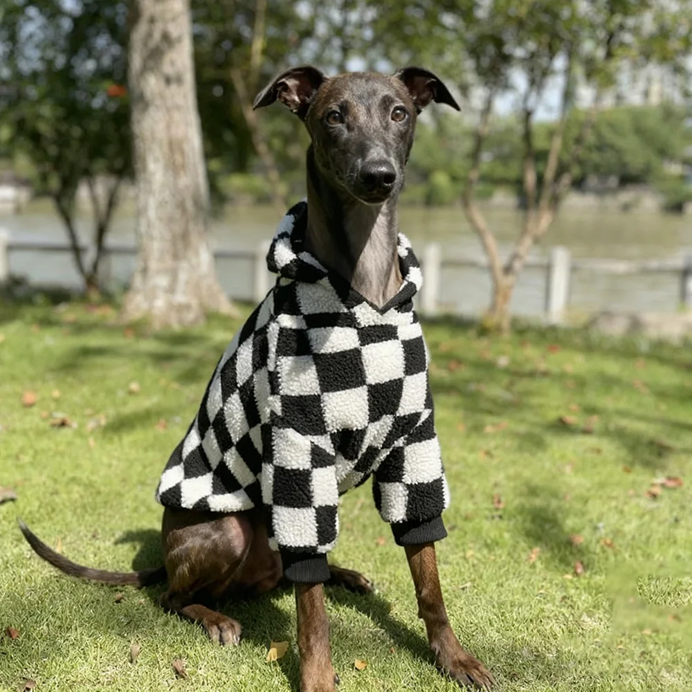 

Итальянская борзая одежда флисовый свитер пальто уиппет для собак