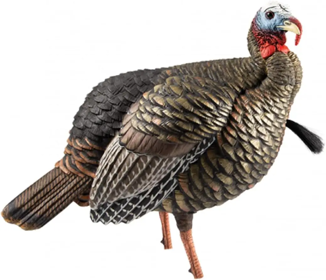 HDR Jake Turkey Decoy | Rugged Durable Realistic Lifelike Quarter-Strut Body Standing Hunting Decoy with 2 Removable Hea