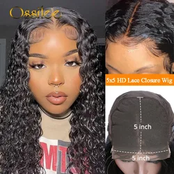 5x5/6x6 HD Lace Closure Wig Brazilian Deep Wave Closure Wig Human Hair Wigs Transparent Lace Front Wigs for Women Ossilee