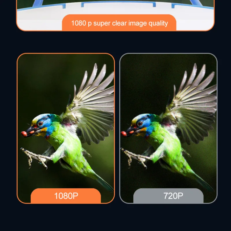 STLFApp Remote Intelligent Smart Bird Food Water Feeder with CamerassAi Recognize 10000 Birds