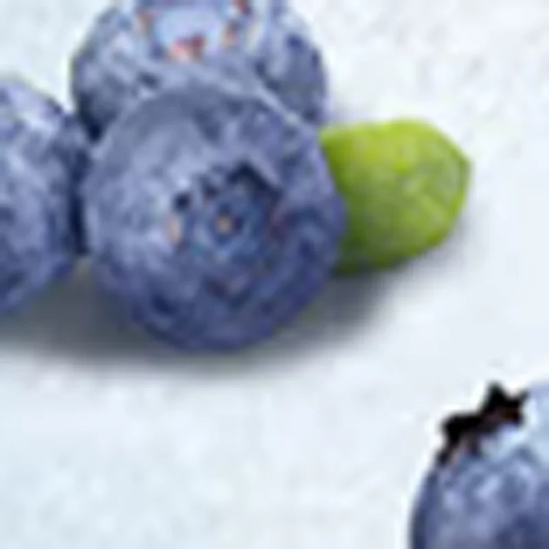 Snow Melt Snow Mud Making Machine Catering Shop Commercial Smoothie Cold Drink Maker Electric Slush Ice Machine