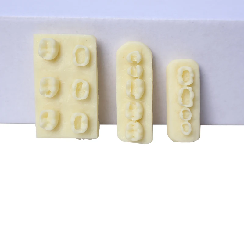 Dental practice resin block practice filling of dental implants resin module examination  practice model