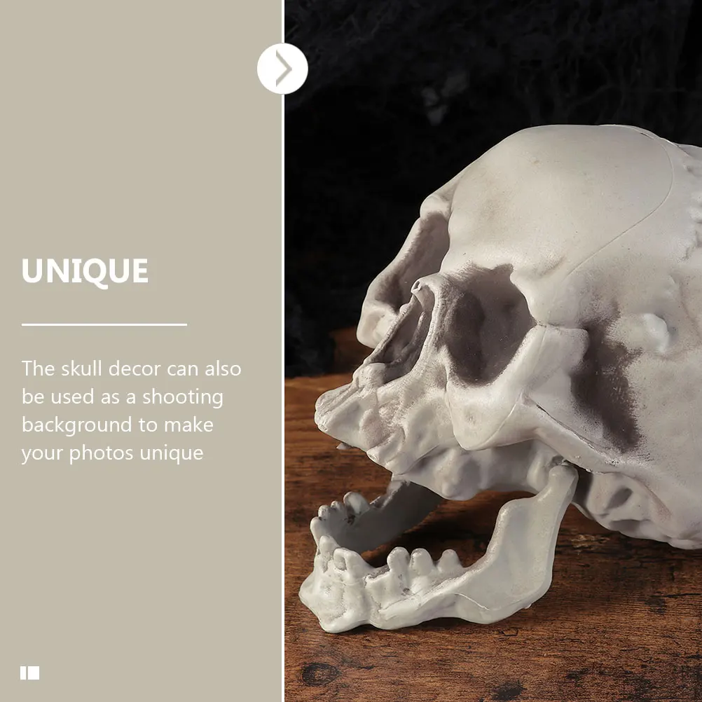 

3 Pcs Skull Props Simulation Decoration Plastic Model Halloween Decorations Miniature Fake Skulls Simulated