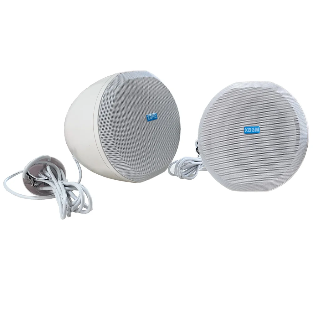 Restaurant/hotel Lobby/church/mosque Indoor Lifting Speaker 30-60W Factory
