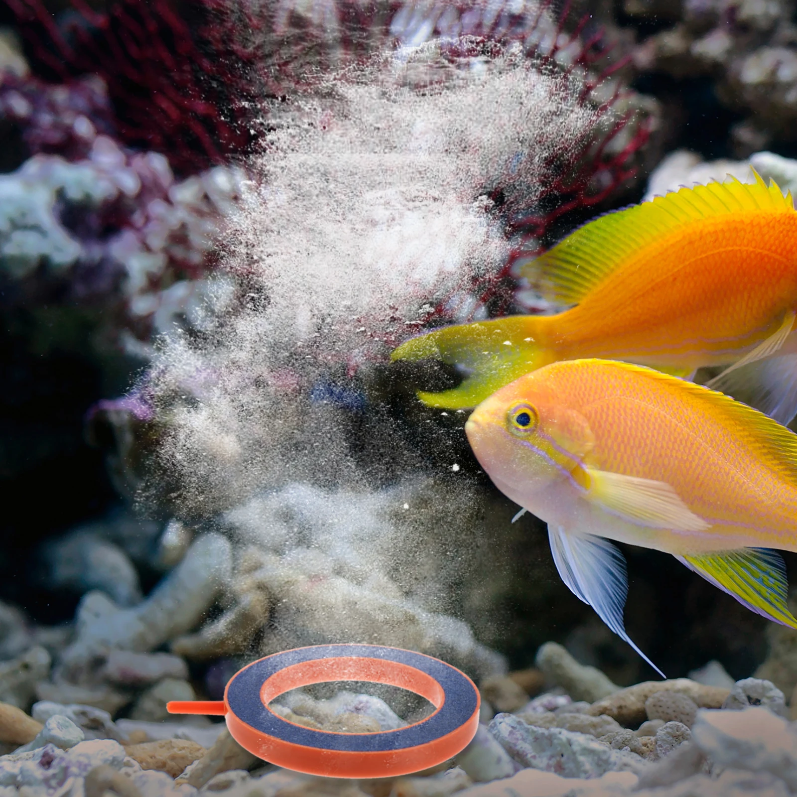 

2 Pcs Diffusers Aerobic Pump Bubble Stone Aquarium Round Air Fish Tank Bubbler Decorations for Sink Orange Small