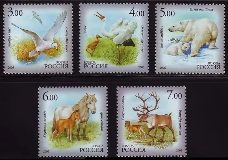 5 PCS Russia Post Stamp,2006,Animal Stamps,Bird,Polar Bear,Horse,Deer,High Quaility,Stamp Collection,New UNC,MNH