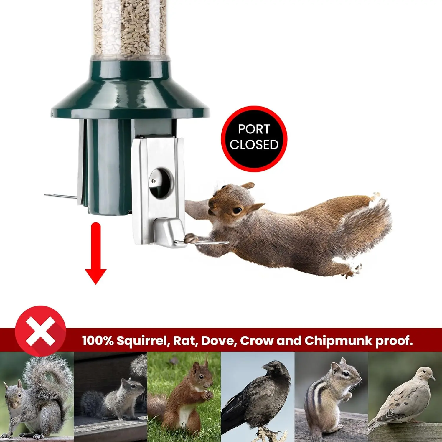 Roamwild PestOff 2.0 Squirrel Proof Wild Bird Feeder Mixed Seed - GREEN - HUGE 4LBS SEED CAPACITY – 26”x8”x8” (w/hanger)