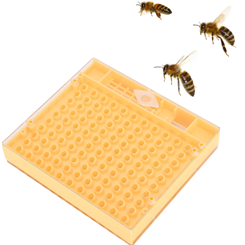 Plastic Bee King Incubator Free Move Harmless Breeding Box Beekeeper Beekeeping Tool