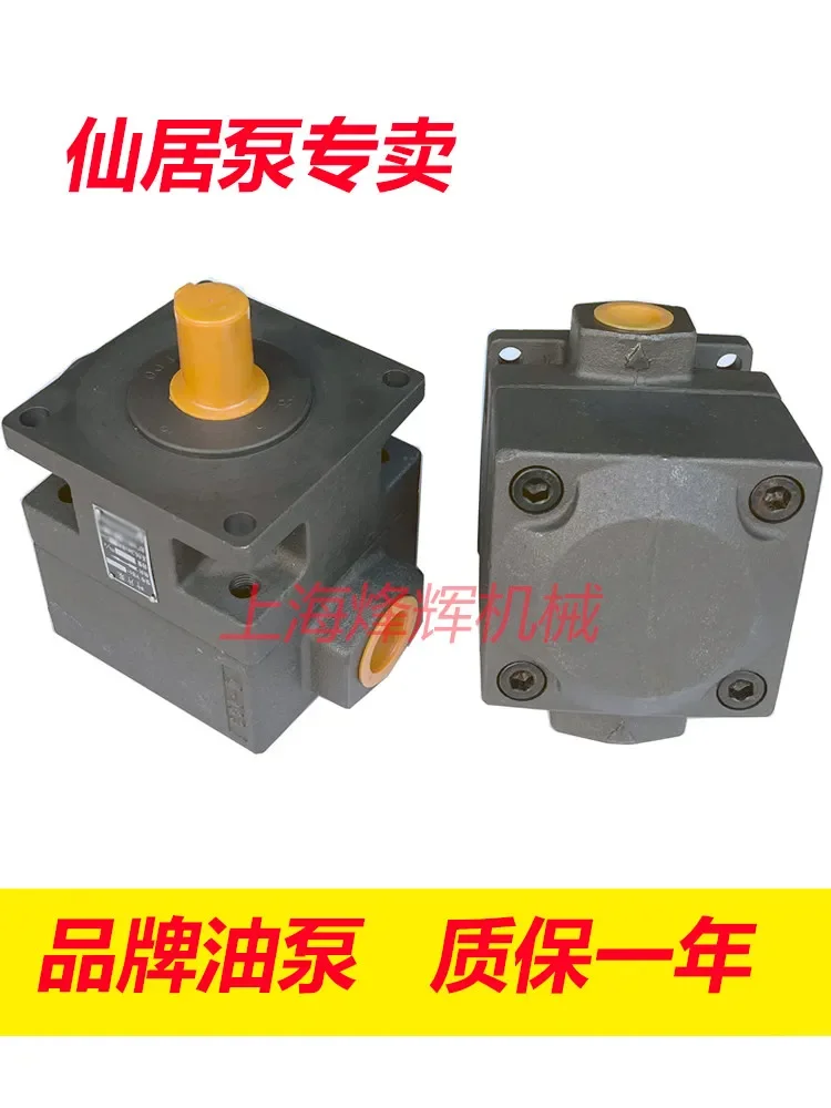 

YB1-100 Лопастной насос Поверхностная шлифовальная машина Масляный насос Напорный насос