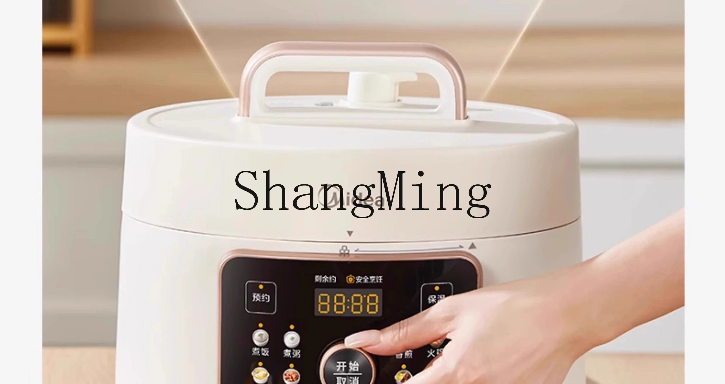 ZYY المنزلية 4L لتر مزدوج الصفراوي الحجز الذكي قدر الضغط الكهربائي الطبخ عصيدة إناء للحساء وعاء طباخ الأرز