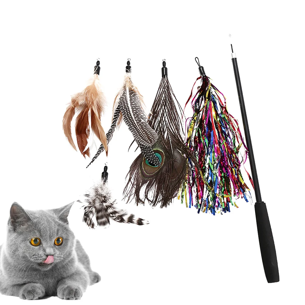 

6pcs 3-Section For Cats Rod Training Play Exercise Fun Teaser Activity Cat Cat Interactive Set