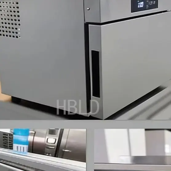 

Seafood Refrigerator Low Temperature Air-Cooled Quick Freezer for Sea Cucumber Fresh-Keeping Kitchen Appliance
