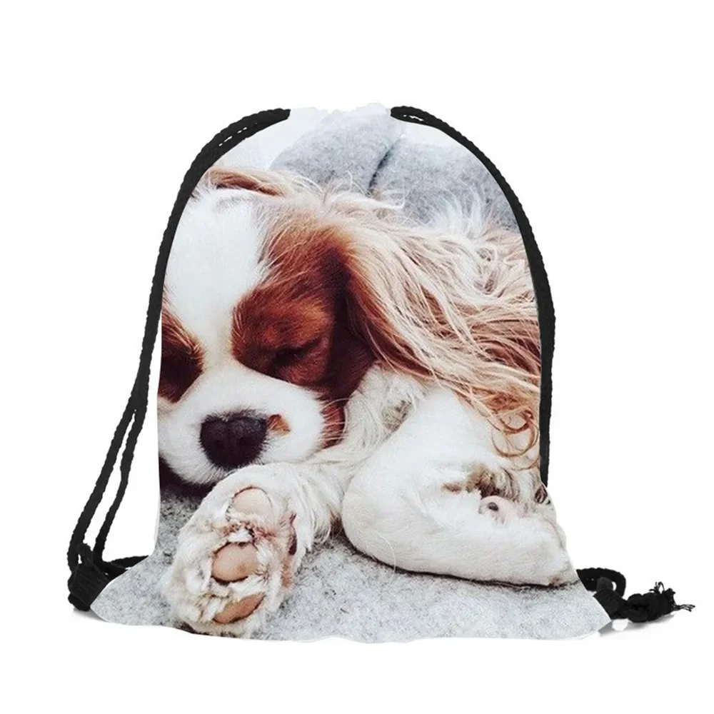 Mochila Unisex con estampado 3D de perro Charles Spaniel, bolsa de poliéster con cordón, duradera, de gran calidad, para regalo, 2018