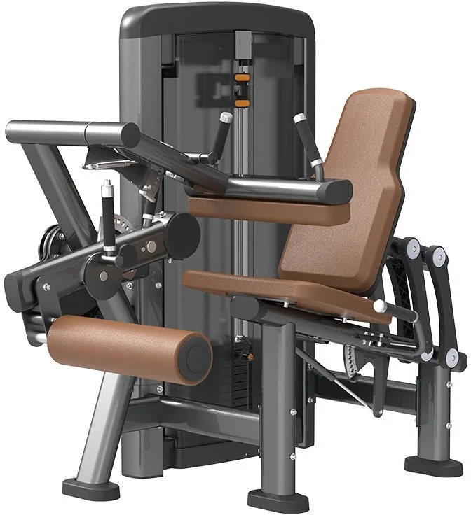 

2 in 1 Leg Exercise Gym Fitness Equipment Dual Function Pin Loaded Seated Leg Extension/Curl