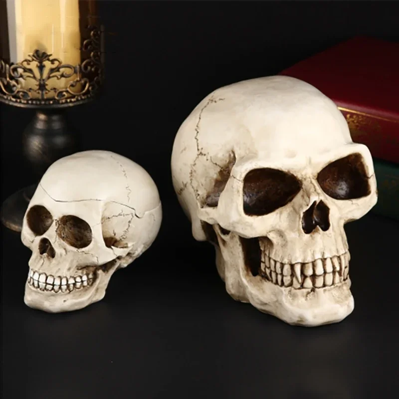 بنك جمجمة أصبع إبداعي للبالغين ، نقود ورقية عتيقة ، صندوق عملات معدنية كبير في الولايات المتحدة ، هدية عيد ميلاد